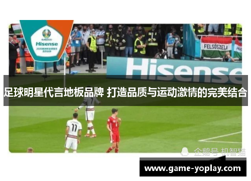足球明星代言地板品牌 打造品质与运动激情的完美结合