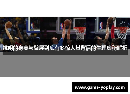 姚明的身高与臂展到底有多惊人其背后的生理奥秘解析