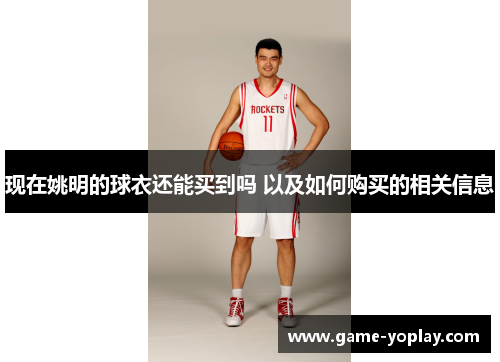 现在姚明的球衣还能买到吗 以及如何购买的相关信息