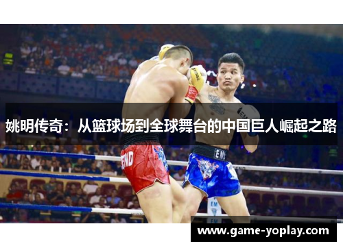 姚明传奇：从篮球场到全球舞台的中国巨人崛起之路