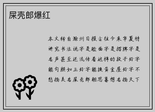 屎壳郎爆红
